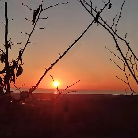 Les Palissieres فيلة