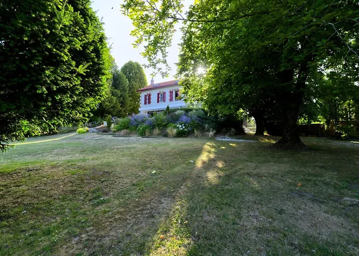 Les Palissieres * Mortagne-sur-Gironde